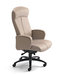 Posh Ergo Executive Chair - Fully Adjustable - Lots of Arm and Back Styles incuding Mesh Back